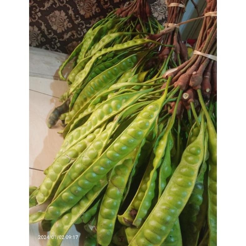 

Pete Wonogiri Isi 10