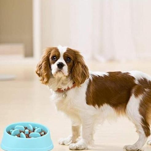

Slow Feeding Bowl/ Tempat makan anjing anti tersedak MH