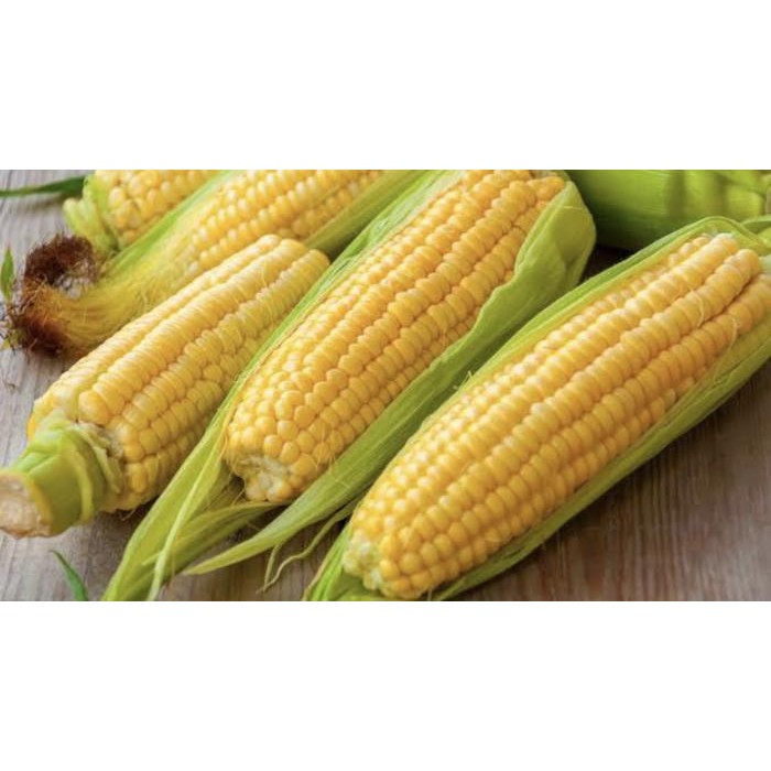 

LS Jagung manis segar / 1kg