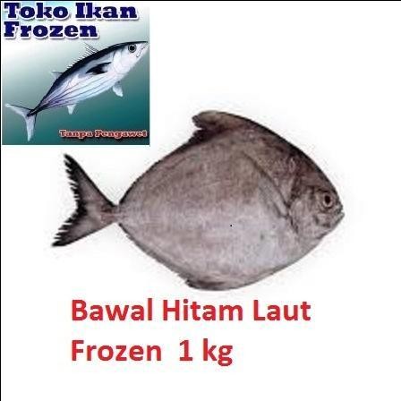 

LS IKAN BAWAL HITAM / Bawal Laut / Beku / Frozen Fresh / 1 kg