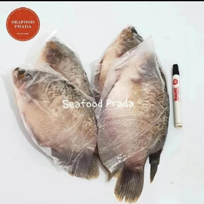 

LS Gurame Frozen WGGS/ Ikan gurame tanpa sisik dan isi perut