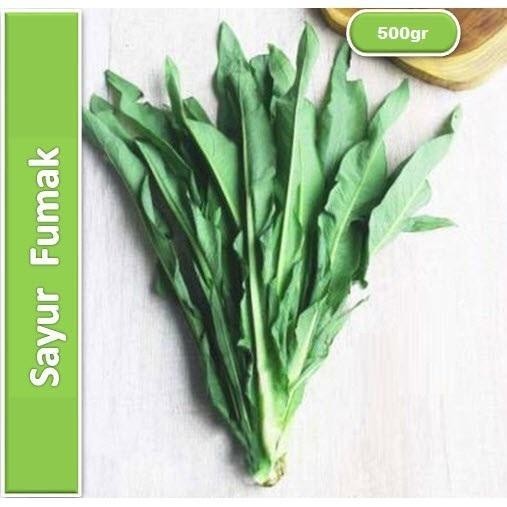 

LS 500gr Sayur Fumak Segar Fresh bebas Pestisida Lindung Ca Fumak Makanan Sulcata Aldabra