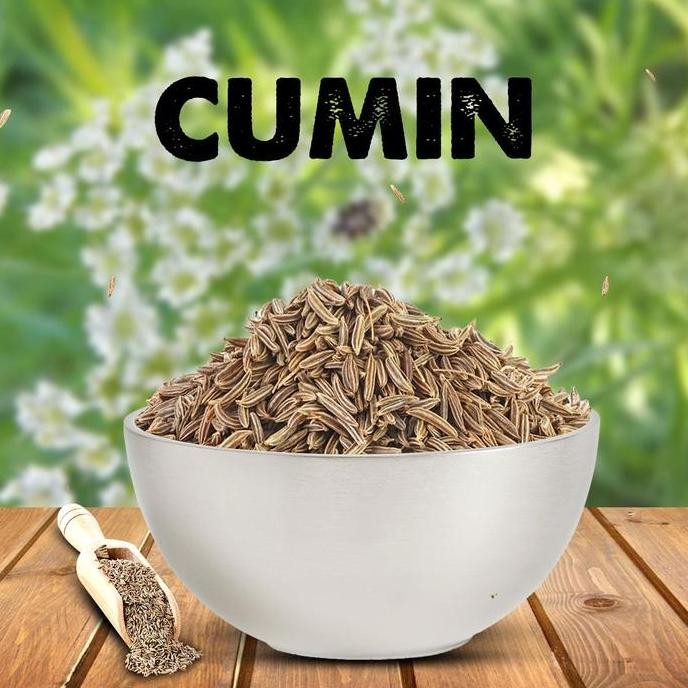 

=+=+=+] CUMIN SEEDS JEERA 500 GM