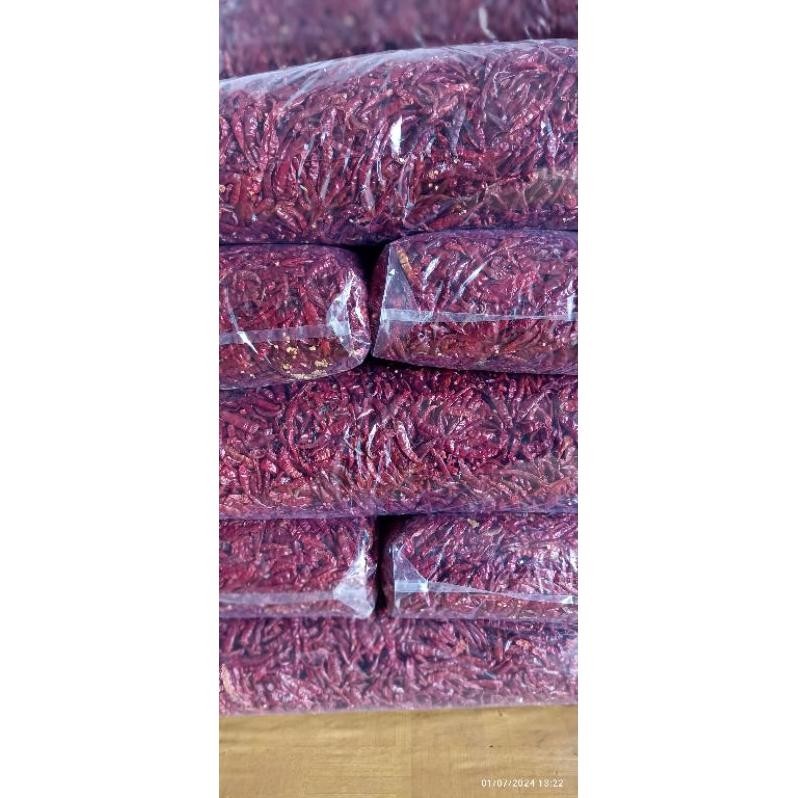 

Paling Dicari Paket Hemat 5 Kg Cabe Rawit Caplak Teja Super Pedas Tanpa Tangkai