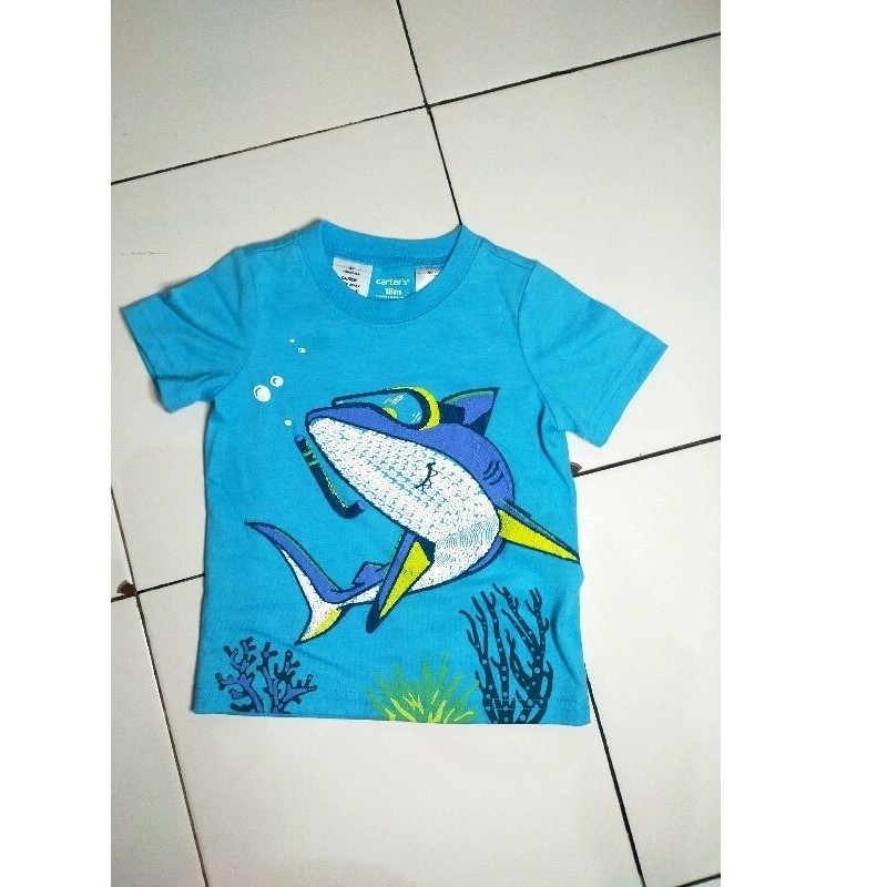 Baju anak PRELOVED MOTHERCARE CARTER'S Baju Pakaian Anak Laki-laki 9-18 bulan