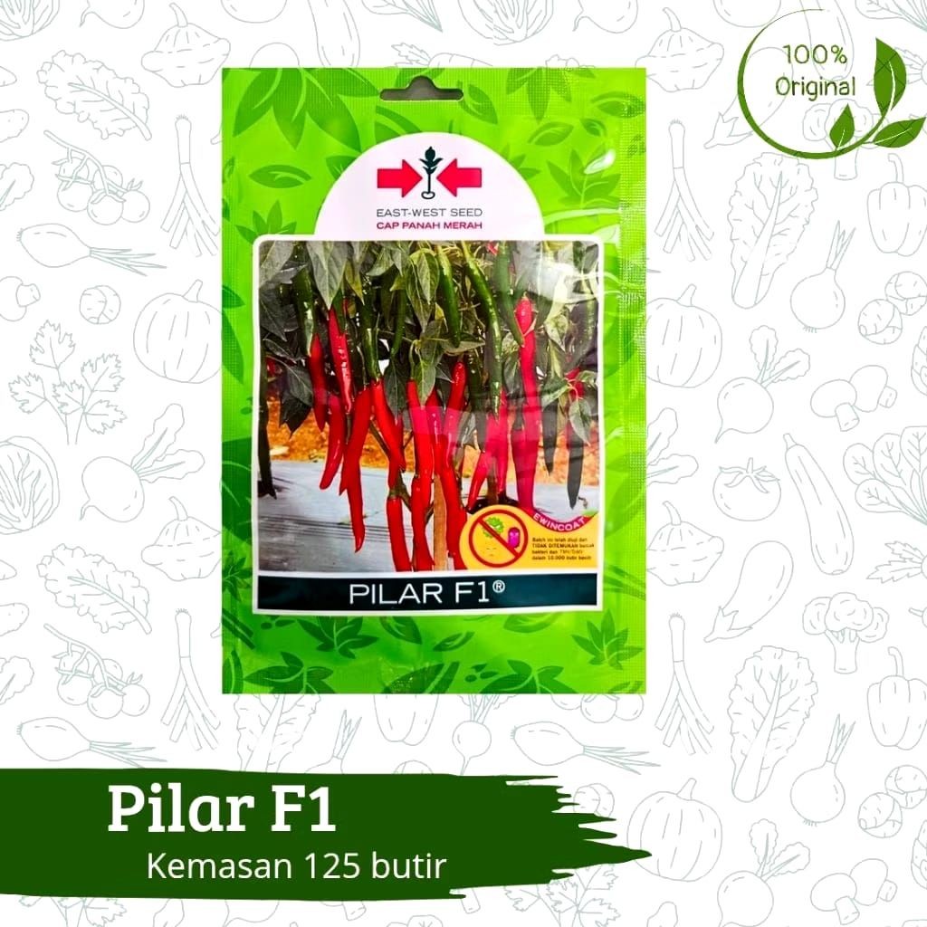 Benih Bibit Biji Tanaman Cabe Cabai Lombok Besar Pilar F1 125 butir Cap Panah Merah Asli Ori