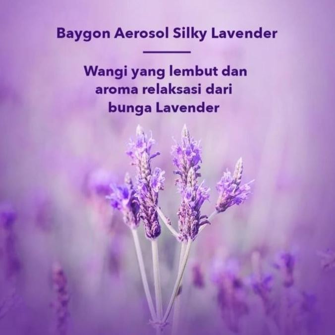 Ready Stock Baygon Aerosol Semprot Wangi Silky Lavender - 200 ml (Harga 6 Pcs)