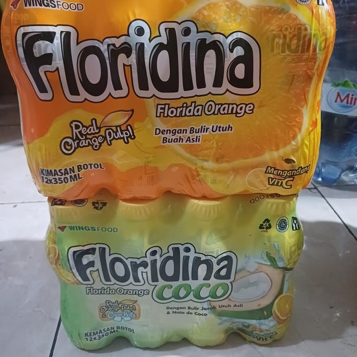 

MN Floridina orange dan coco 350ml dus