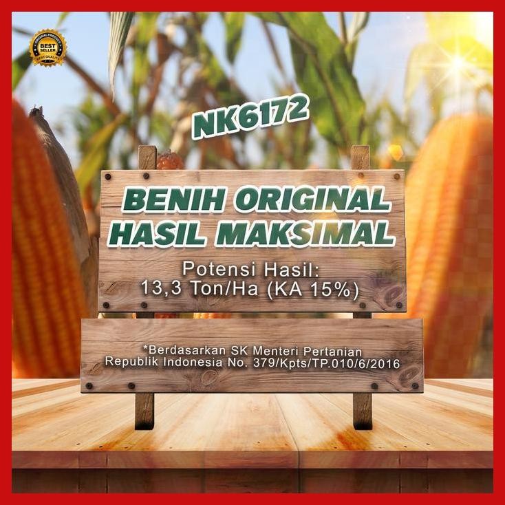 (Ready) Benih Jagung Nk 6172 | Nk Perkasa - 20Kg Bestseller