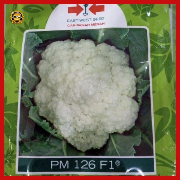 

(Termurah) Benih Bunga Kol Pm126 F1 10 Gram Bungkul Hibrida Pm 126 Panah Merah Kembang Kol Pm126 F1 Bestseller