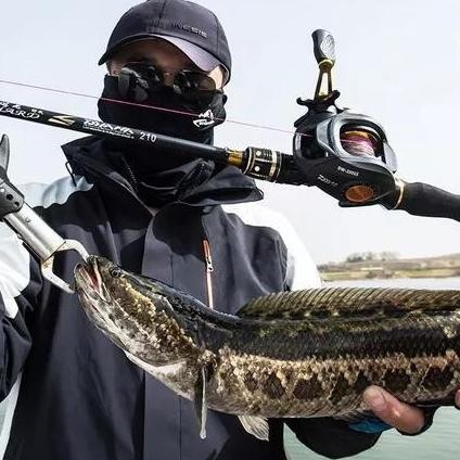 Daiwa rod single rod gun handle fishing rod straight handle sea rod black fishing rod long-range car