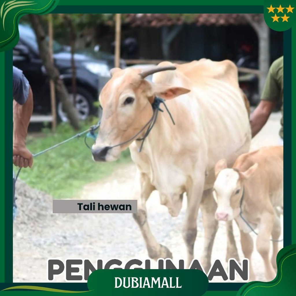 

Tali Tampar Ukuran 7 Mm Panjang 220 Meter Promo