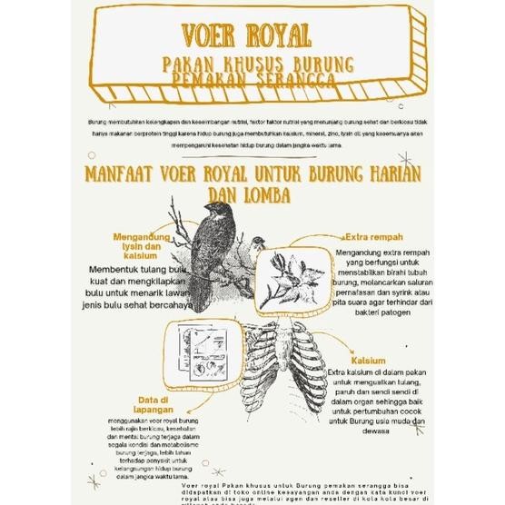 Voer Royal Spesial Tledekan Gunung Dan Bakau
