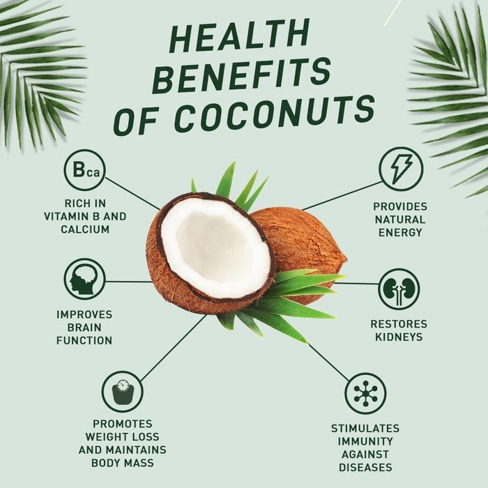 

Covita Healthy Protein Bars Box - Bali Coconut (10Pcs)