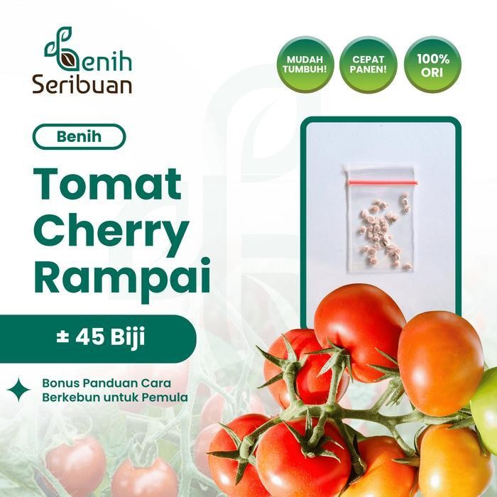 

(Promo) 45 Benih Tomat Ceri Rampai Bibit Sayuran Rempai Buah Kecil Sayur Lebat Bestseller