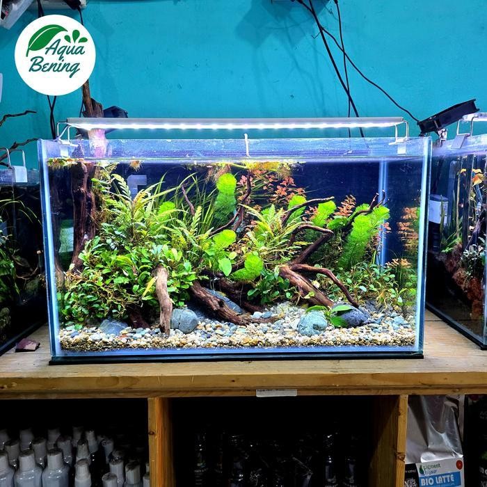 RA Aquascape full set 60x30x35 cm natural style. aquarium aquascape full set.lengkap dengan filter d