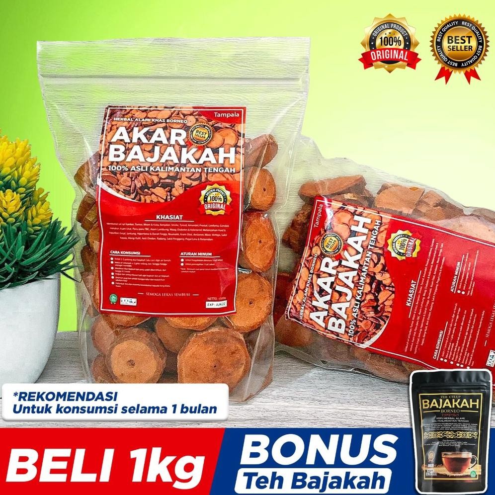 

[1Kg] Akar Bajakah Tampala Merah Obat Herbal Tumor Kanker Asli Kalimantan 100% Original + Bonus Teh