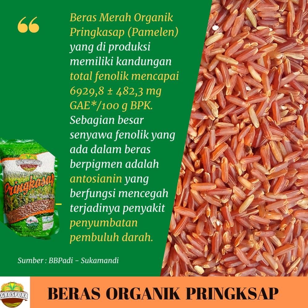 

Beras Organik Merah Pringkasap Sehat Tanpa Kimia
