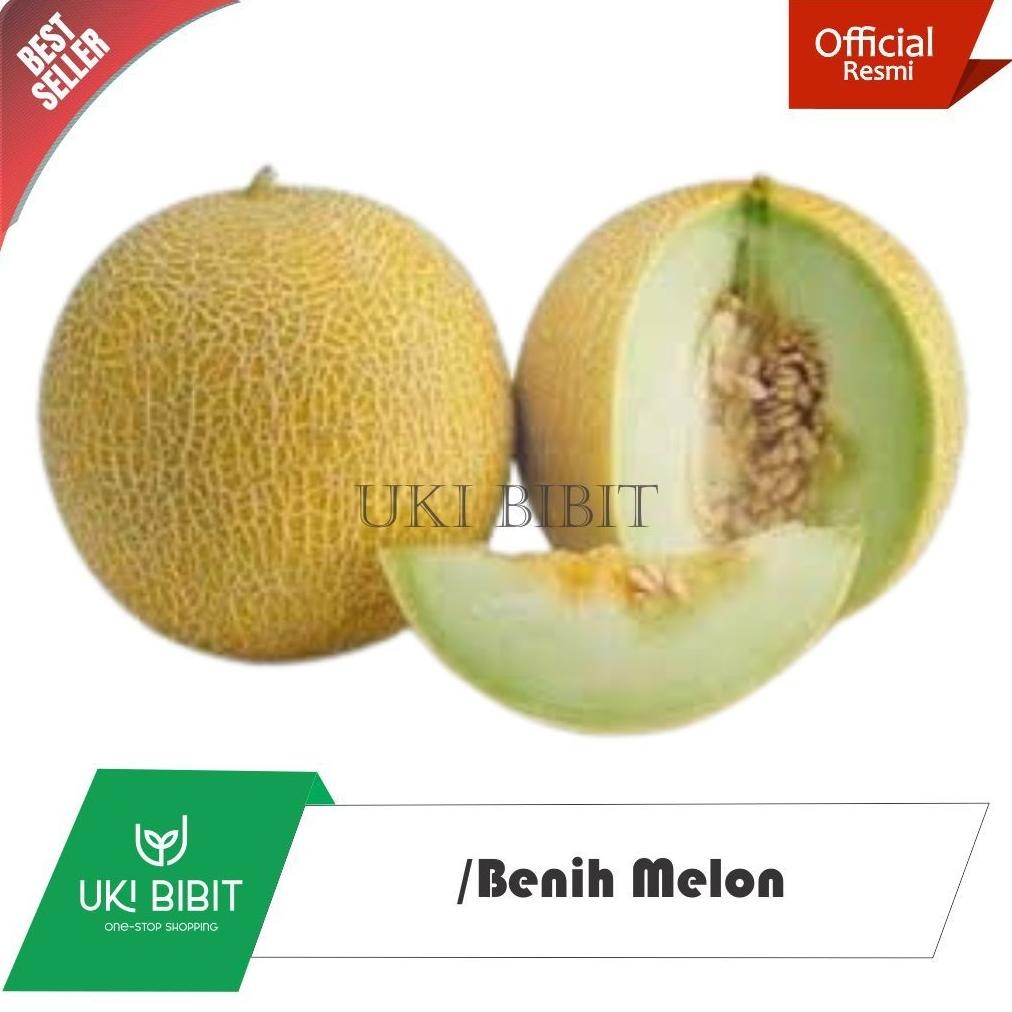 ( 1.000 Butir ) Benih Biji Melon Madu | Melon Manis | Melon Musk