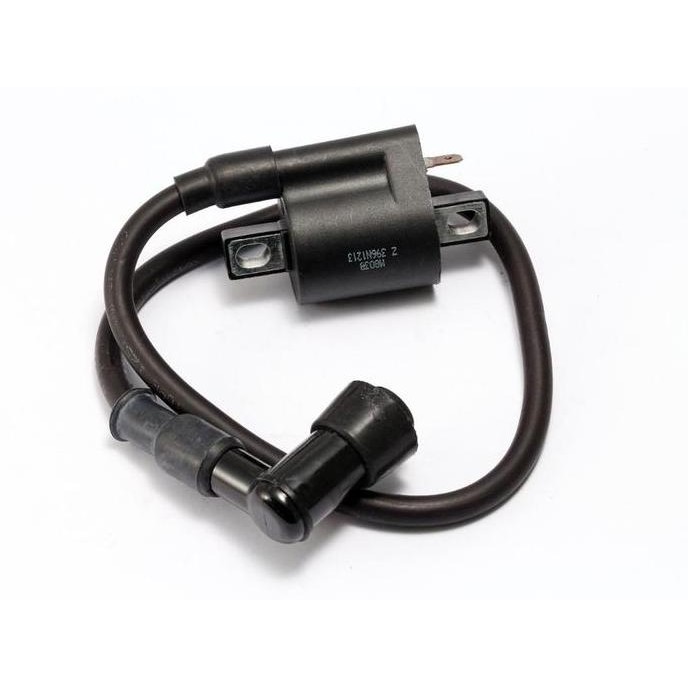 PROMO - COIL, IGNITION DAYTONA ANIMA