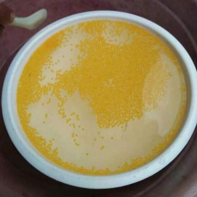 

(Good) paketan 1000 butir telur gurame padang