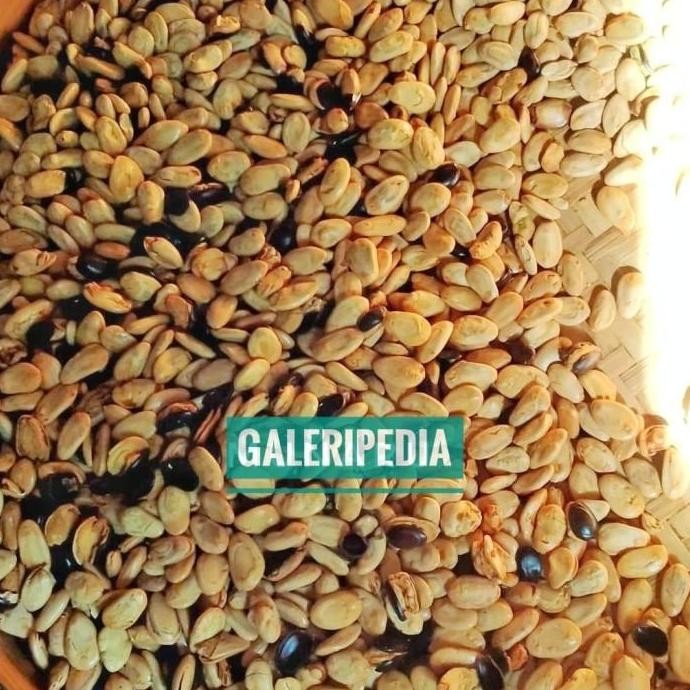 

(Good) Kacang Kedawung 500 Gr Rasa Original Mindik Sengon Matang