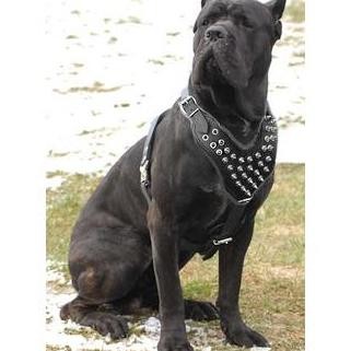 Black Spiked PU Leather Pet Dog Harness Dog Chest Belt Pet Accessory Peliharaan