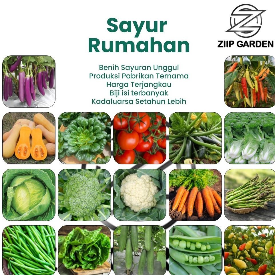 Promo Cod Bibit  Benih Sayur Sayuran Paket Lengkap Varian Unggulan ...