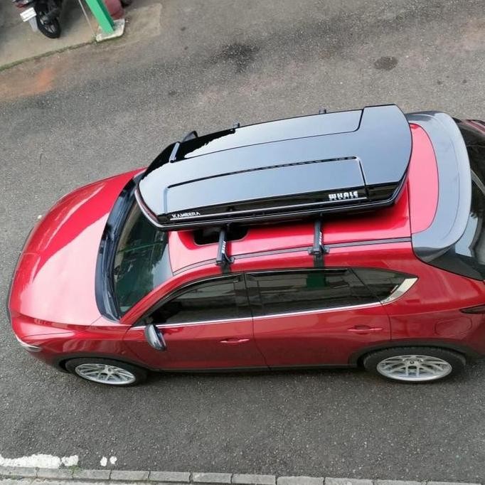 Roof Box Whale Carrier Kambera 650 L