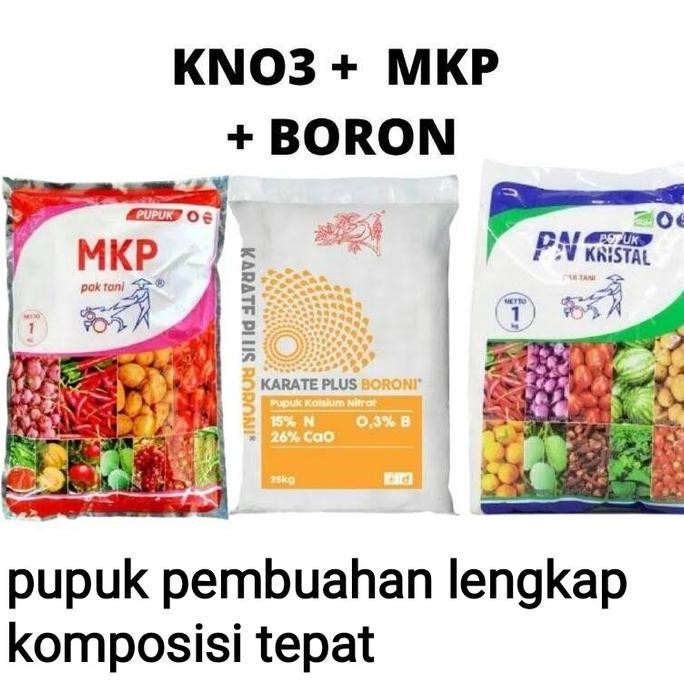 Paket Pupuk Pembuahan anggur dan tanaman lain mkp / kno3 / boron