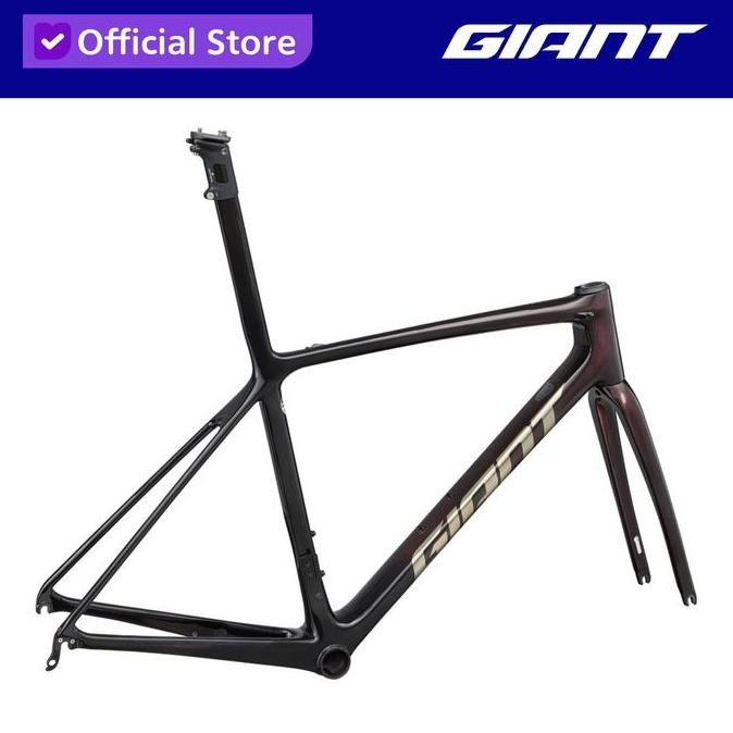 GIANT TCR ADVANCED SL FRAMESET