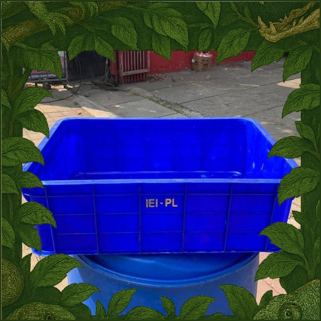 Bak Plastik Kontainer Bak Magot Bak Ikan/Bak Kura Kura/Box Rabbit 2033