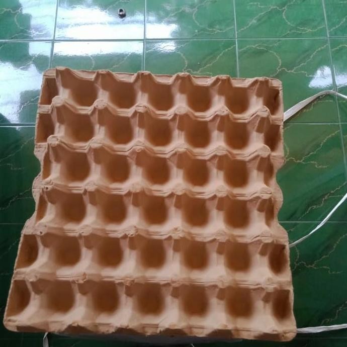 egg tray karton ayam coklat LAT