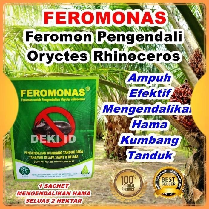 Feromonas Feromon Pengendali Hama Kumbang Tanduk Kelapa Sawit