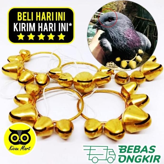 Ready...Ready...Ready...] SAWANGAN MERPATI KALUNG HATONG HOTANG LONCENG PLUIT BURUNG MERPATI KLG