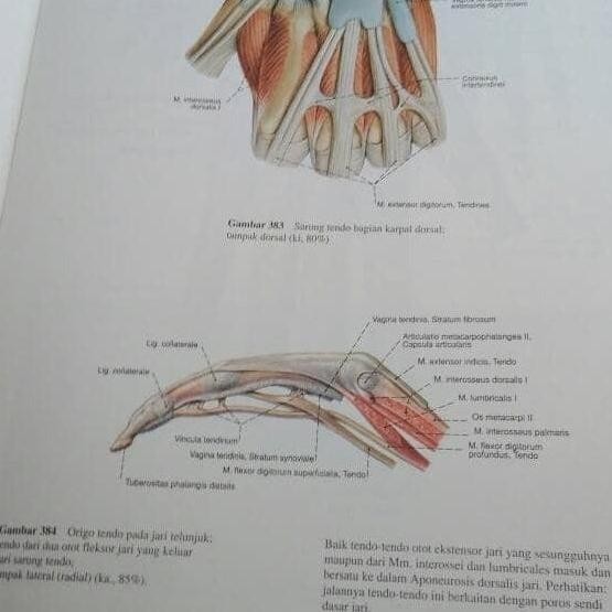 Atlas Anatomi Sobotta Edisi 21 Jilid 1 dan 2 Original