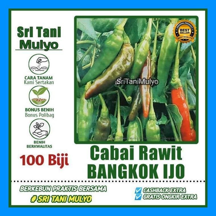 [Cod] - 100 Biji - Benih Cabai Rawit Bangkok Ijo - Bibit Cabe Hijau -Bibit Sayuran Benih Sayuran Rep