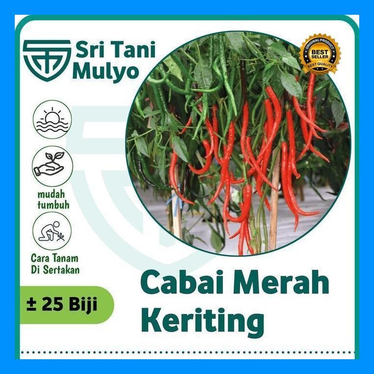 [Cod] - 25 Biji - Benih Cabe Cabai Keriting Unggul -Galih F1 Bibit Unggul Tahan Penyakit Cabe/Cabai 