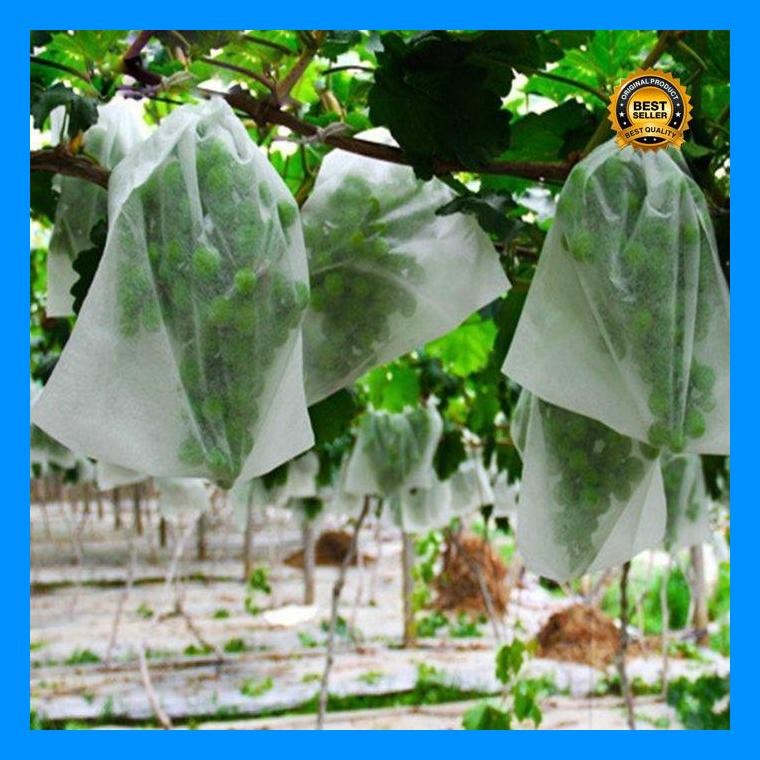 [Cod] - Fruit Cover Pembungkus Buah Buahan Brongsong Buah Mangga Apel Anggur