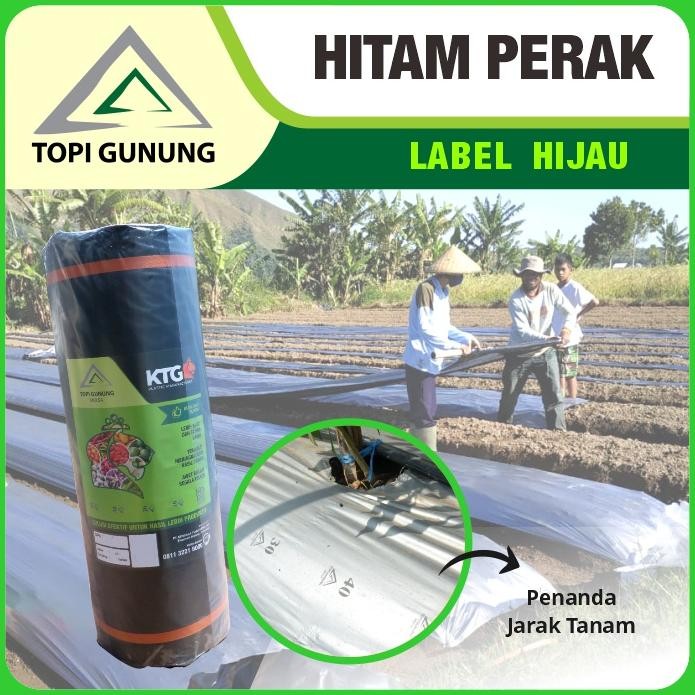 LEGOLANT- Mulsa Topi Gunung - Hitam Perak Besar - 17 Kg - Label Hijau