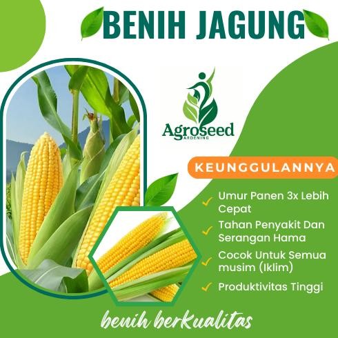 Promo Cod 18 Paket Lengkap Jenis Benih Super Tanaman/Sayuran Lengkap Bibit Unggul Cepat Tumbuh Benih
