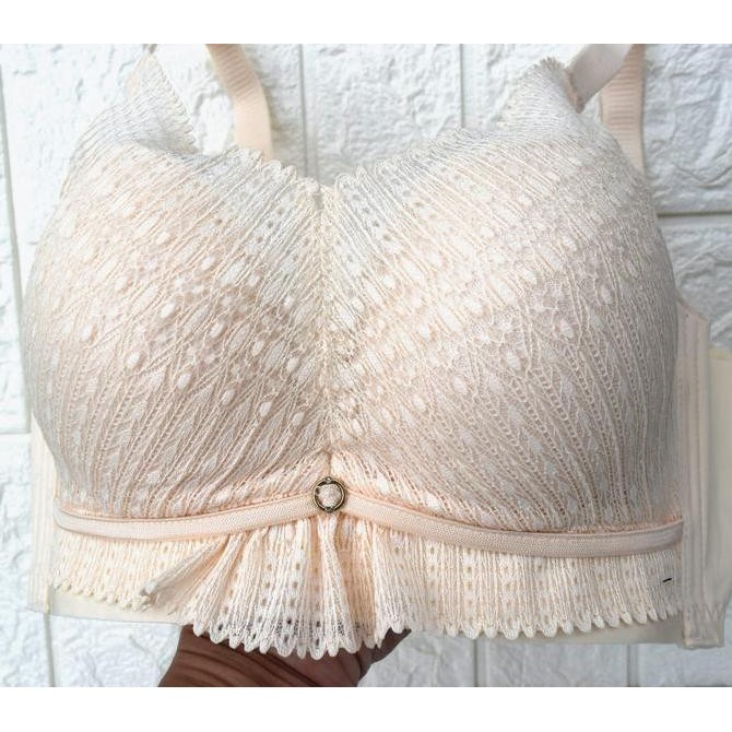 Bbl 127 Pushup Bra Wanita Bh Busa Tebal Sedang Berkawat Cup B Penutup Samping Lebar Kait 4 Seamless 