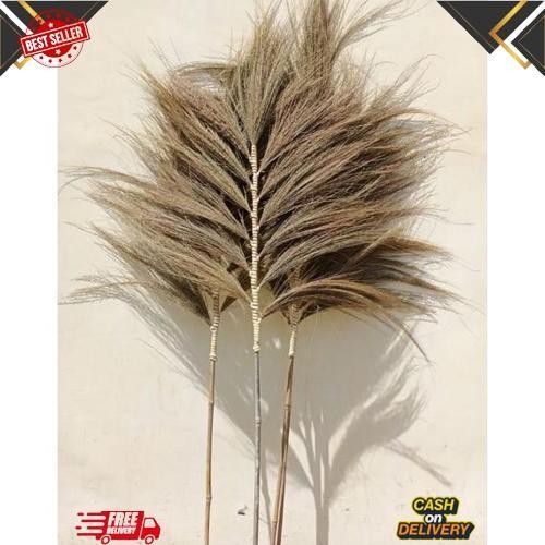 Paling Murah Rayung Stick/Rayung Tinggi 150cm/Rayung Ikat/Pampas Lokal