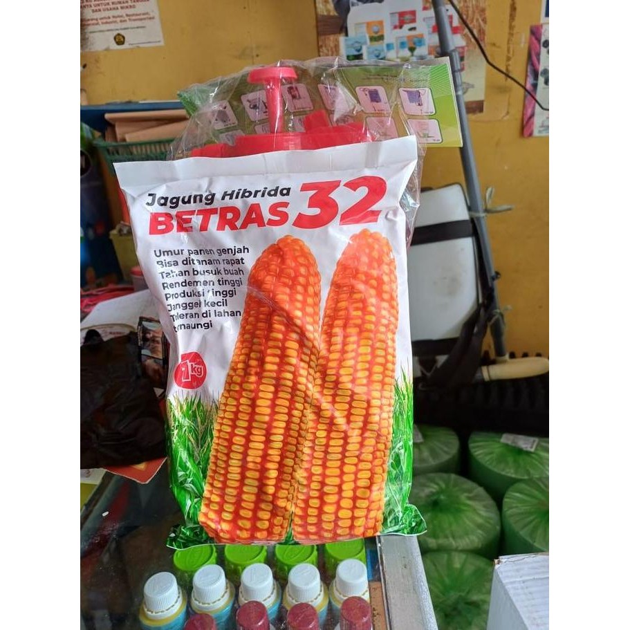 Benih Bibit Jagung Hibrida Betras 32 Merek Bintang Asia (1kg )100% Original AUL