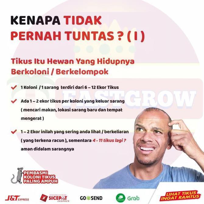 Pump- Racun Tikus Ramtus Ampuh Basmi Tikus