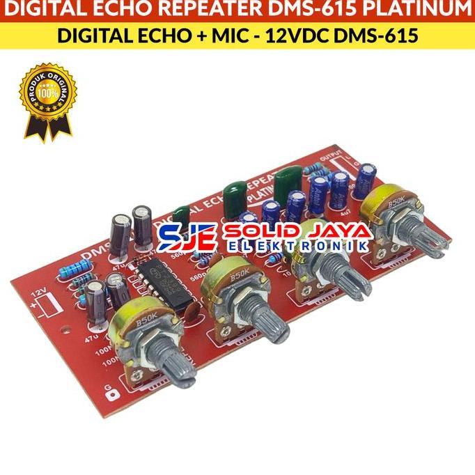 Greeeg- Kit Dital Echo Repeater Repeat Mic Karaoke Dms615 Dms 615 Dms-615 Preamp Pre Amp Amplifier E