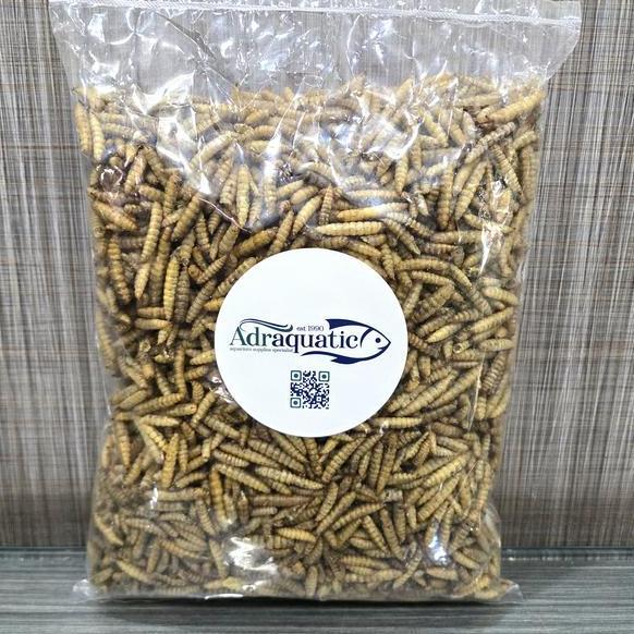 New- Maggot Kering 50Gr Larva Bsf Magot Pakan Ikan Koi Unggas Burung Ayam