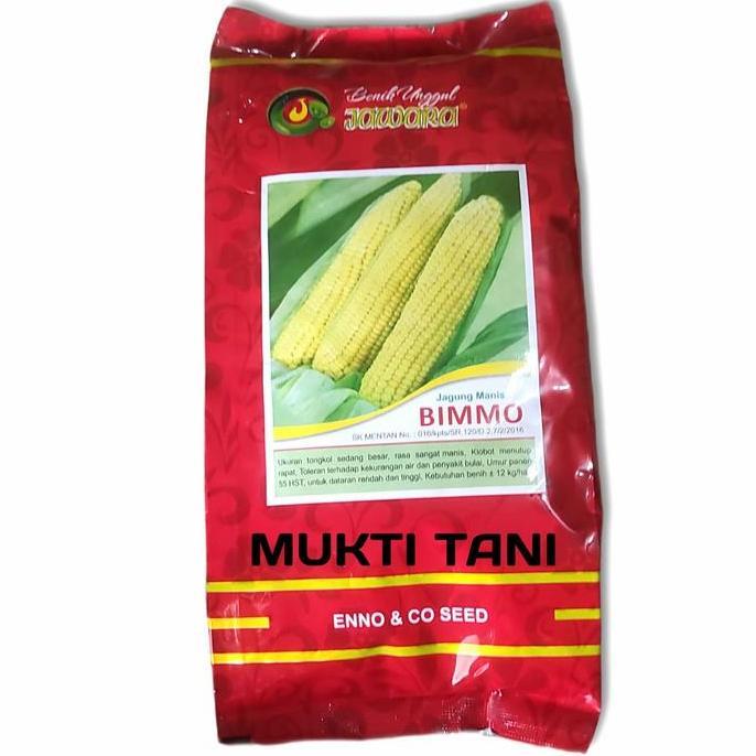 Benih Jagung Manis Bimmo 500 Gram