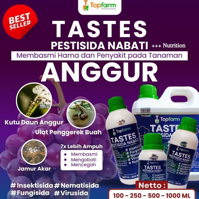 PESTISIDA UNTUK POHON ANGGUR / PESTISIDA KHUSUS TANAMAN ANGGUR / PESTISIDA BUAH ANGGUR / PESTISIDA A