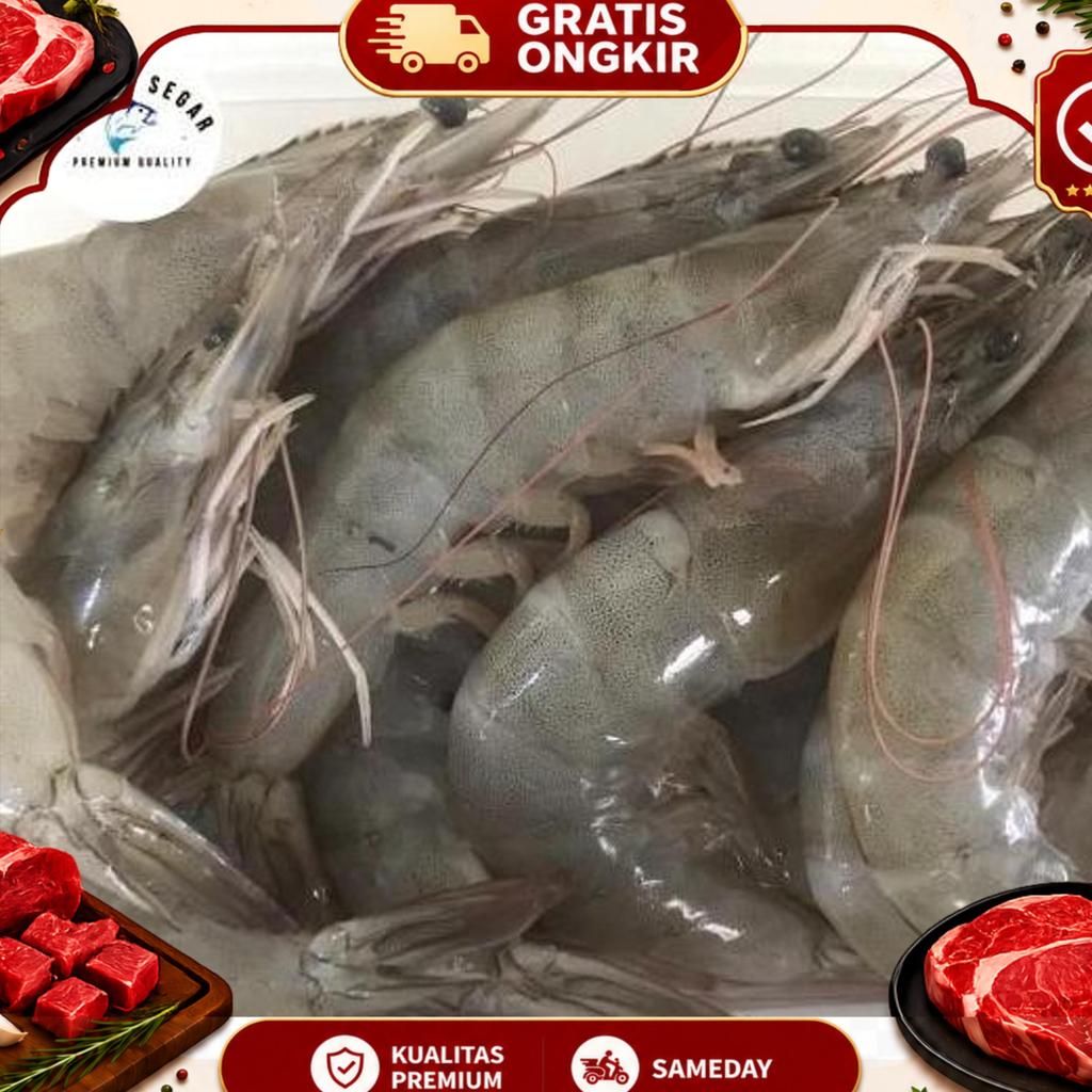 Udang Vaname Segar K30 - Vaname Segar Jumbo - Fresh Seafood